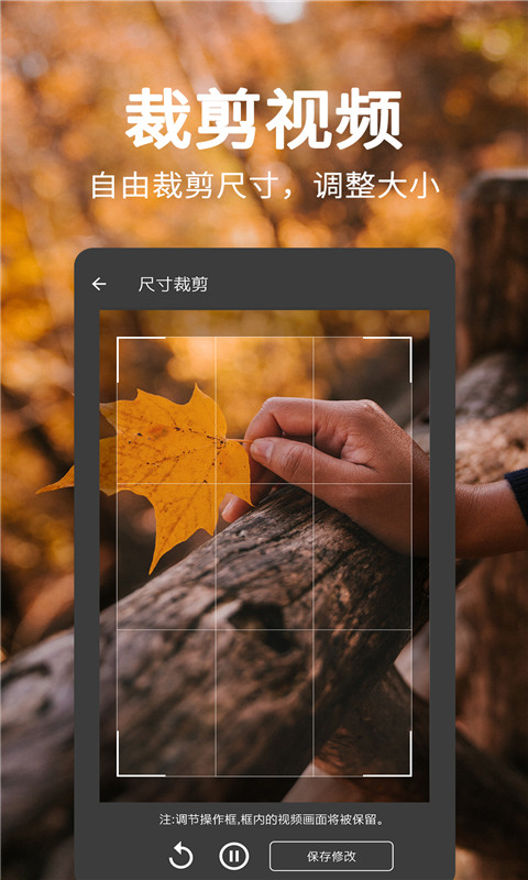 一键视频去水印